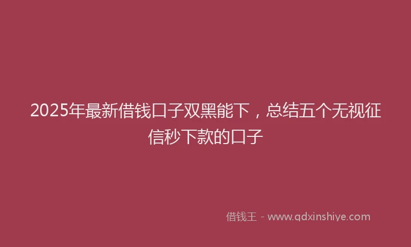 2025年最新借钱口子双黑能下，总结五个无视征信秒下款的口子