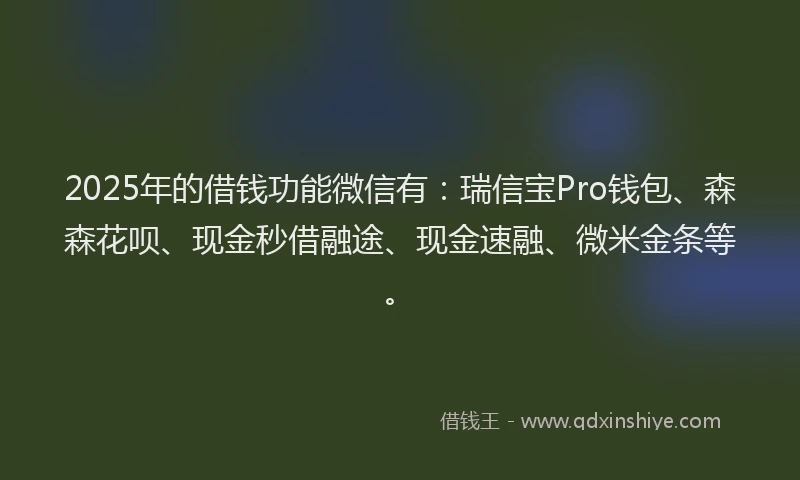 2025年的借钱功能微信有：瑞信宝Pro钱包、森森花呗、现金秒借融途、现金速融、微米金条等。