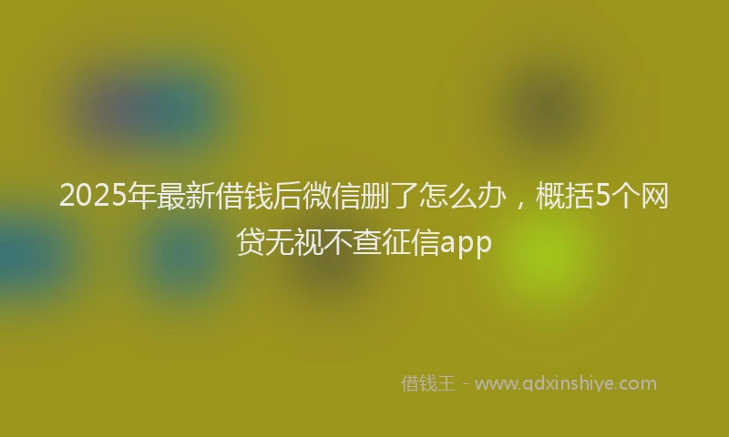 2025年最新借钱后微信删了怎么办，概括5个网贷无视不查征信app