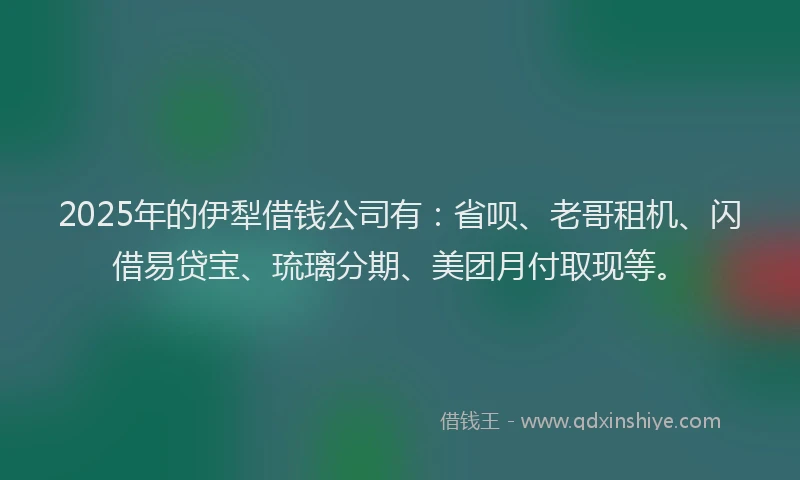 2025年的伊犁借钱公司有：省呗、老哥租机、闪借易贷宝、琉璃分期、美团月付取现等。