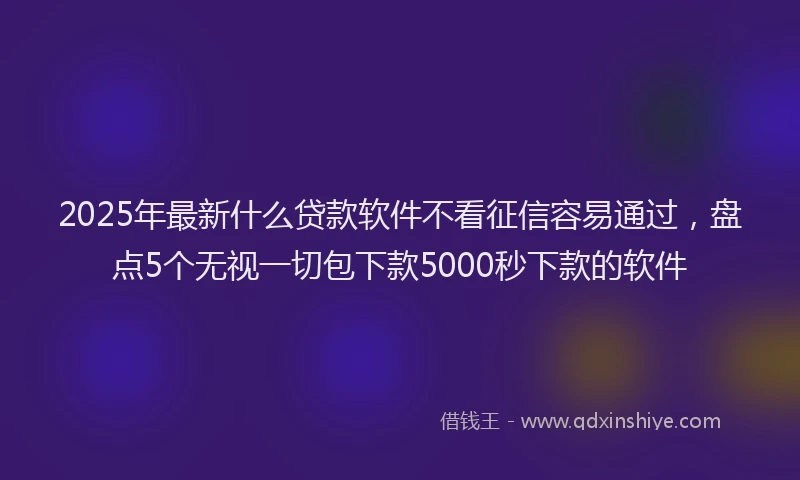 2025年最新什么贷款软件不看征信容易通过，盘点5个无视一切包下款5000秒下款的软件
