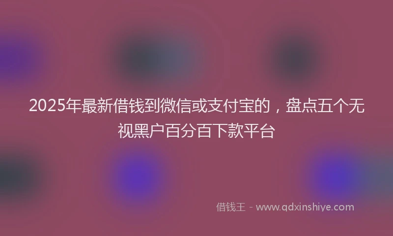 2025年最新借钱到微信或支付宝的，盘点五个无视黑户百分百下款平台