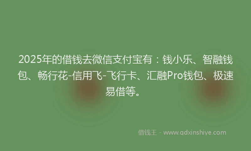 2025年的借钱去微信支付宝有：钱小乐、智融钱包、畅行花-信用飞-飞行卡、汇融Pro钱包、极速易借等。