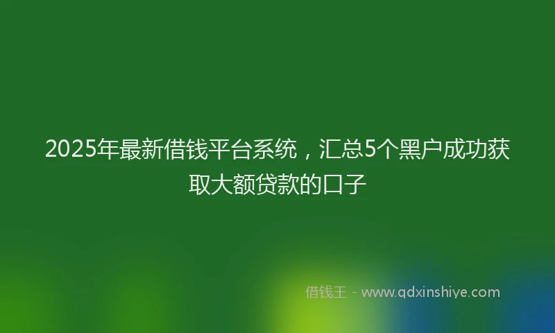 2025年最新借钱平台系统，汇总5个黑户成功获取大额贷款的口子