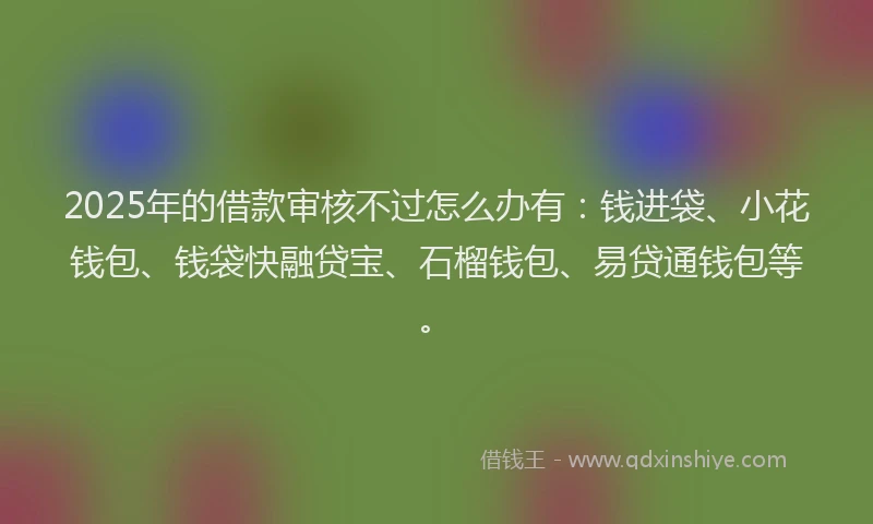 2025年的借款审核不过怎么办有：钱进袋、小花钱包、钱袋快融贷宝、石榴钱包、易贷通钱包等。