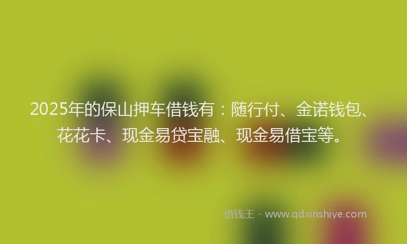 2025年的保山押车借钱有：随行付、金诺钱包、花花卡、现金易贷宝融、现金易借宝等。