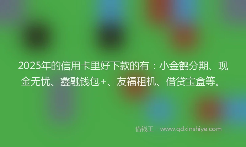 2025年的信用卡里好下款的有：小金鹤分期、现金无忧、鑫融钱包+、友福租机、借贷宝盒等。