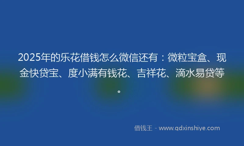 2025年的乐花借钱怎么微信还有：微粒宝盒、现金快贷宝、度小满有钱花、吉祥花、滴水易贷等。