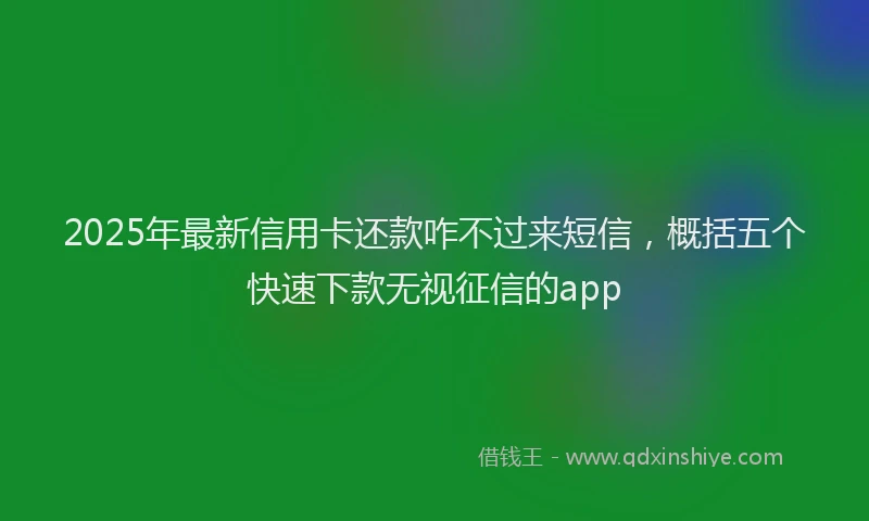 2025年最新信用卡还款咋不过来短信，概括五个快速下款无视征信的app