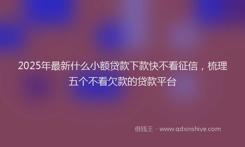 2025年最新什么小额贷款下款快不看征信，梳理五个不看欠款的贷款平台