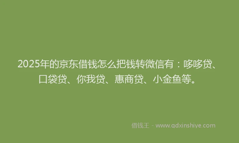2025年的京东借钱怎么把钱转微信有：哆哆贷、口袋贷、你我贷、惠商贷、小金鱼等。