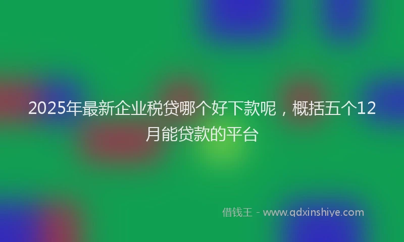 2025年最新企业税贷哪个好下款呢，概括五个12月能贷款的平台