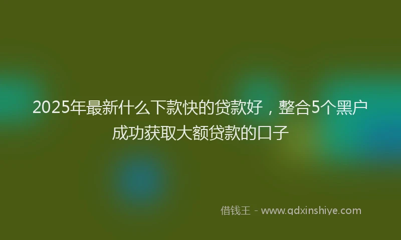 2025年最新什么下款快的贷款好，整合5个黑户成功获取大额贷款的口子