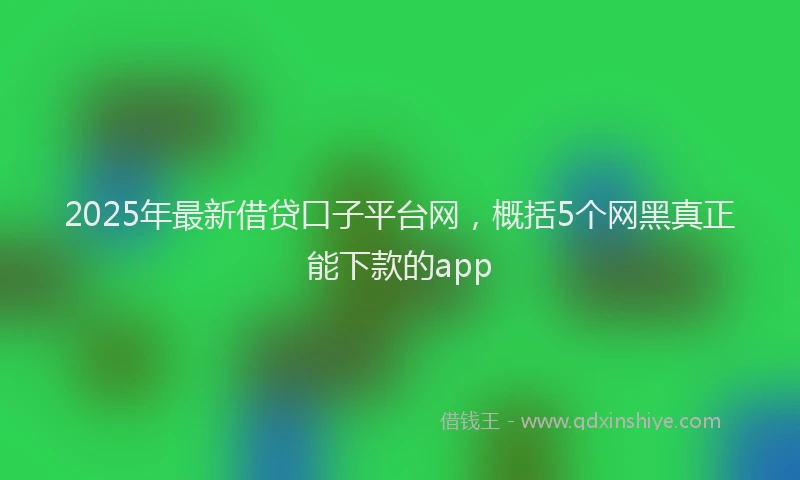 2025年最新借贷口子平台网，概括5个网黑真正能下款的app