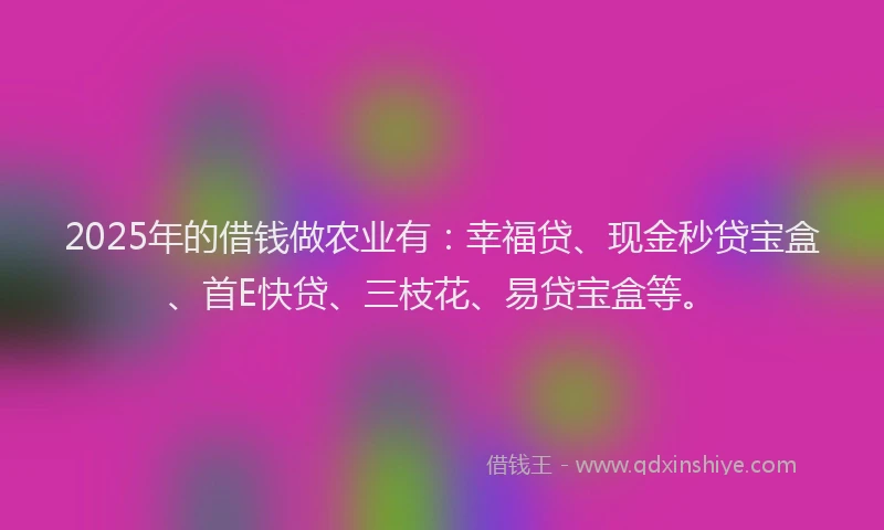 2025年的借钱做农业有：幸福贷、现金秒贷宝盒、首E快贷、三枝花、易贷宝盒等。