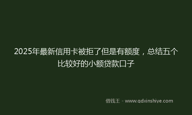 2025年最新信用卡被拒了但是有额度，总结五个比较好的小额贷款口子