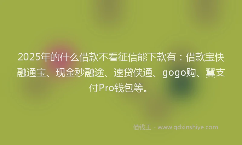 2025年的什么借款不看征信能下款有：借款宝快融通宝、现金秒融途、速贷侠通、gogo购、翼支付Pro钱包等。