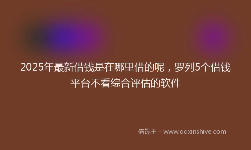 2025年最新借钱是在哪里借的呢，罗列5个借钱平台不看综合评估的软件