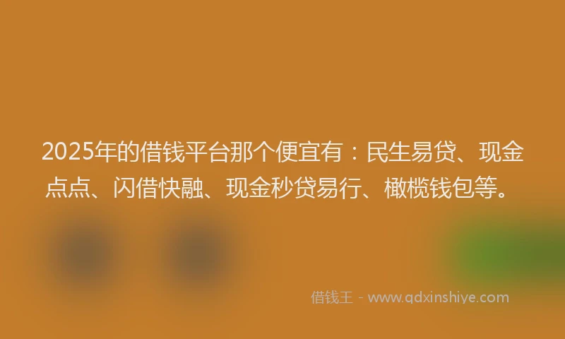 2025年的借钱平台那个便宜有：民生易贷、现金点点、闪借快融、现金秒贷易行、橄榄钱包等。