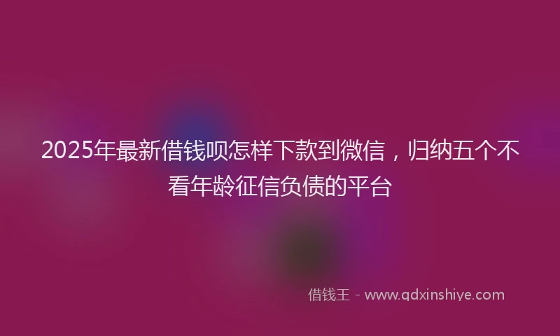 2025年最新借钱呗怎样下款到微信，归纳五个不看年龄征信负债的平台