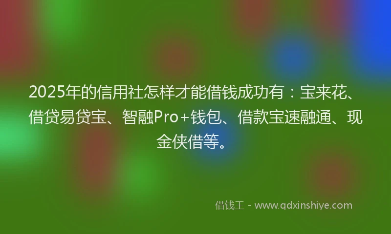 2025年的信用社怎样才能借钱成功有：宝来花、借贷易贷宝、智融Pro+钱包、借款宝速融通、现金侠借等。