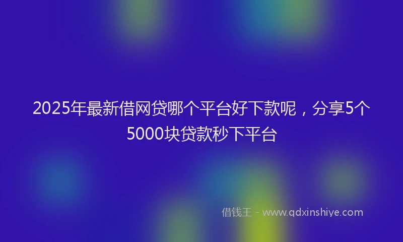 2025年最新借网贷哪个平台好下款呢，分享5个5000块贷款秒下平台