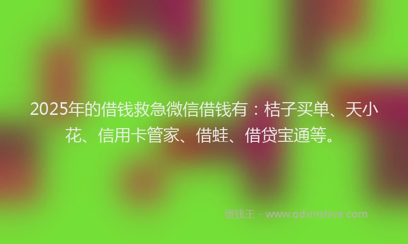 2025年的借钱救急微信借钱有：桔子买单、天小花、信用卡管家、借蛙、借贷宝通等。