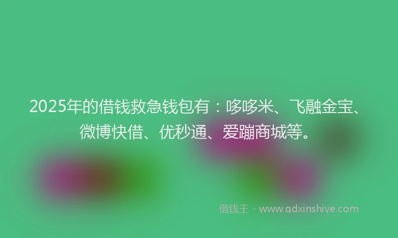2025年的借钱救急钱包有：哆哆米、飞融金宝、微博快借、优秒通、爱蹦商城等。