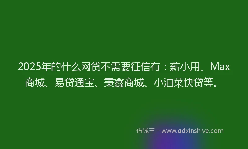 2025年的什么网贷不需要征信有：薪小用、Max商城、易贷通宝、秉鑫商城、小油菜快贷等。