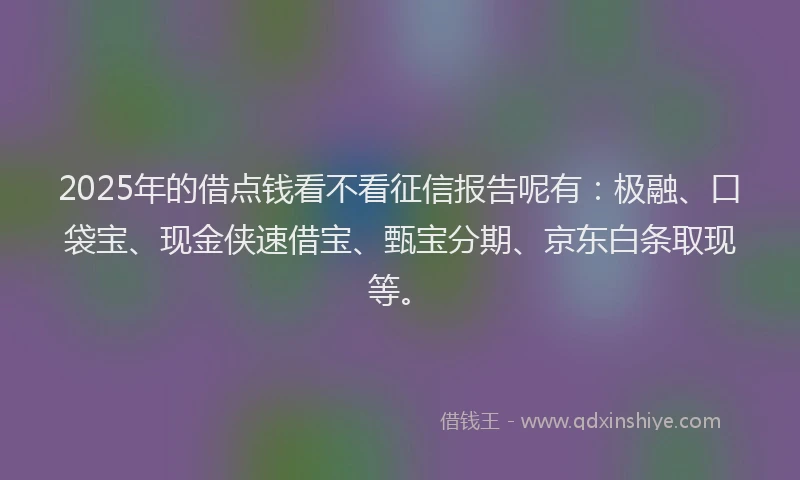 2025年的借点钱看不看征信报告呢有：极融、口袋宝、现金侠速借宝、甄宝分期、京东白条取现等。