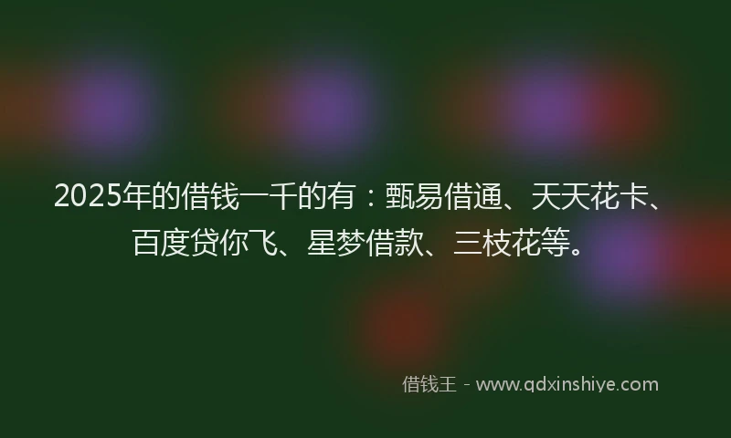 2025年的借钱一千的有：甄易借通、天天花卡、百度贷你飞、星梦借款、三枝花等。