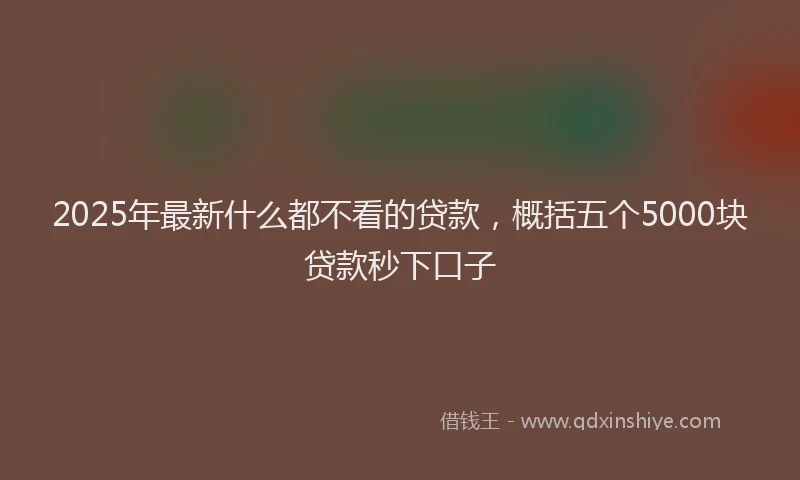 2025年最新什么都不看的贷款，概括五个5000块贷款秒下口子