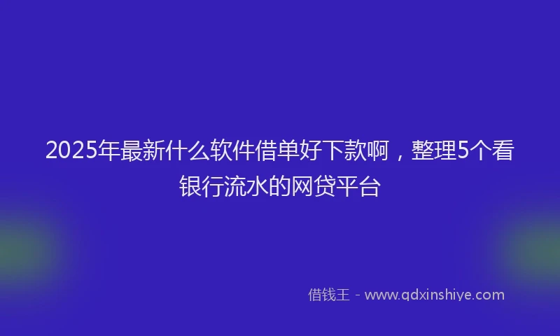 2025年最新什么软件借单好下款啊，整理5个看银行流水的网贷平台