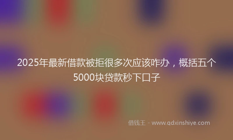 2025年最新借款被拒很多次应该咋办，概括五个5000块贷款秒下口子