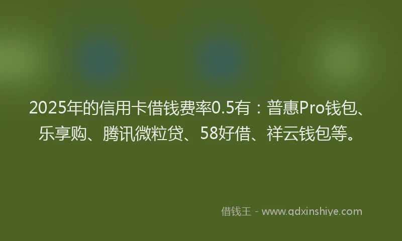 2025年的信用卡借钱费率0.5有：普惠Pro钱包、乐享购、腾讯微粒贷、58好借、祥云钱包等。