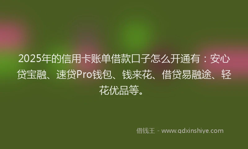 2025年的信用卡账单借款口子怎么开通有：安心贷宝融、速贷Pro钱包、钱来花、借贷易融途、轻花优品等。