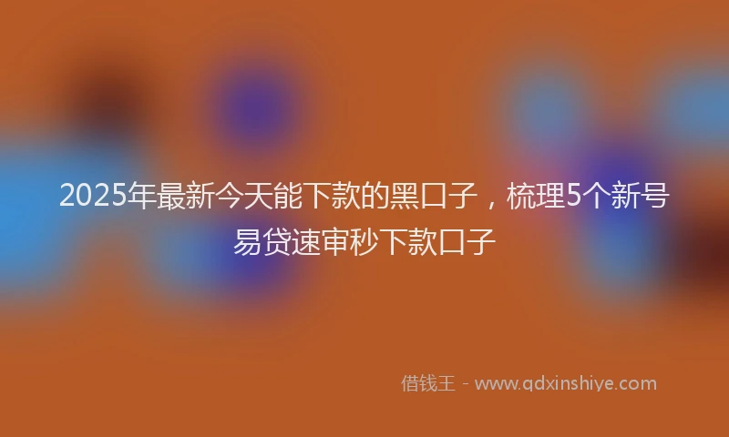 2025年最新今天能下款的黑口子，梳理5个新号易贷速审秒下款口子