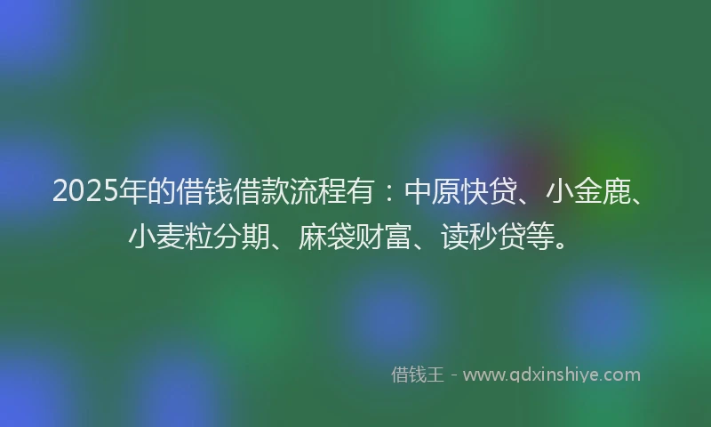 2025年的借钱借款流程有：中原快贷、小金鹿、小麦粒分期、麻袋财富、读秒贷等。