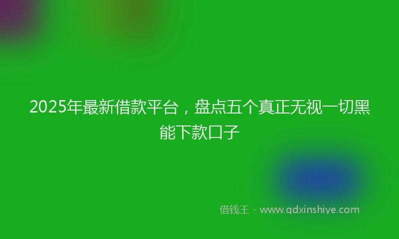 2025年最新借款平台，盘点五个真正无视一切黑能下款口子