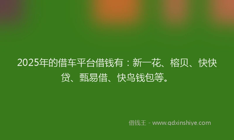 2025年的借车平台借钱有：新一花、榕贝、快快贷、甄易借、快鸟钱包等。