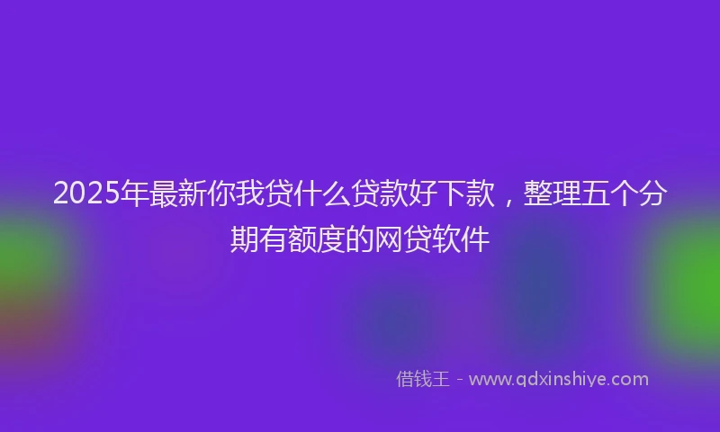 2025年最新你我贷什么贷款好下款，整理五个分期有额度的网贷软件
