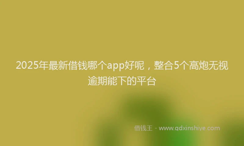 2025年最新借钱哪个app好呢，整合5个高炮无视逾期能下的平台