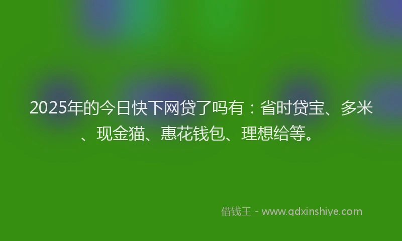 2025年的今日快下网贷了吗有：省时贷宝、多米、现金猫、惠花钱包、理想给等。