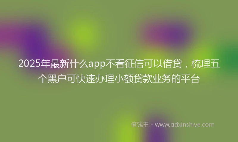 2025年最新什么app不看征信可以借贷，梳理五个黑户可快速办理小额贷款业务的平台