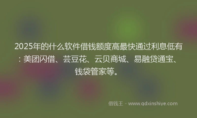2025年的什么软件借钱额度高最快通过利息低有：美团闪借、芸豆花、云贝商城、易融贷通宝、钱袋管家等。