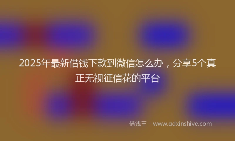 2025年最新借钱下款到微信怎么办，分享5个真正无视征信花的平台