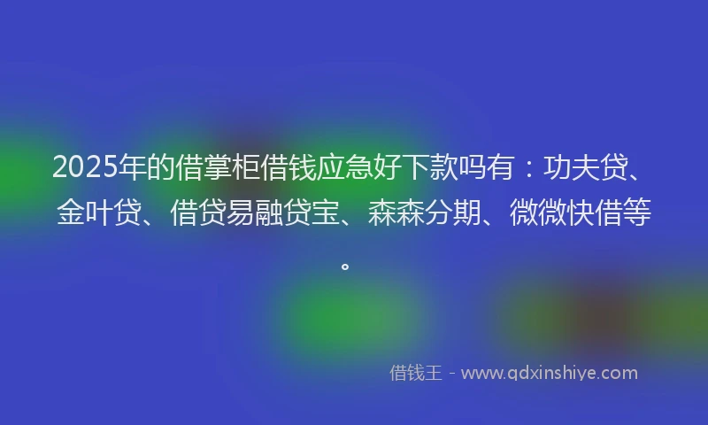 2025年的借掌柜借钱应急好下款吗有：功夫贷、金叶贷、借贷易融贷宝、森森分期、微微快借等。