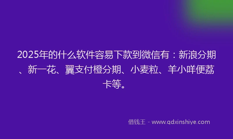 2025年的什么软件容易下款到微信有：新浪分期、新一花、翼支付橙分期、小麦粒、羊小咩便荔卡等。