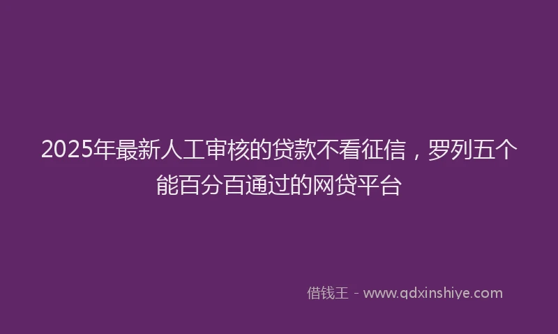 2025年最新人工审核的贷款不看征信，罗列五个能百分百通过的网贷平台