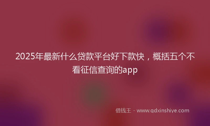 2025年最新什么贷款平台好下款快，概括五个不看征信查询的app